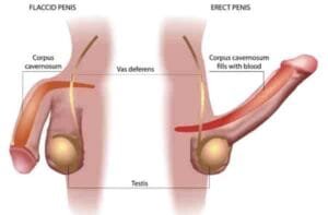 Long Time Sex tablet